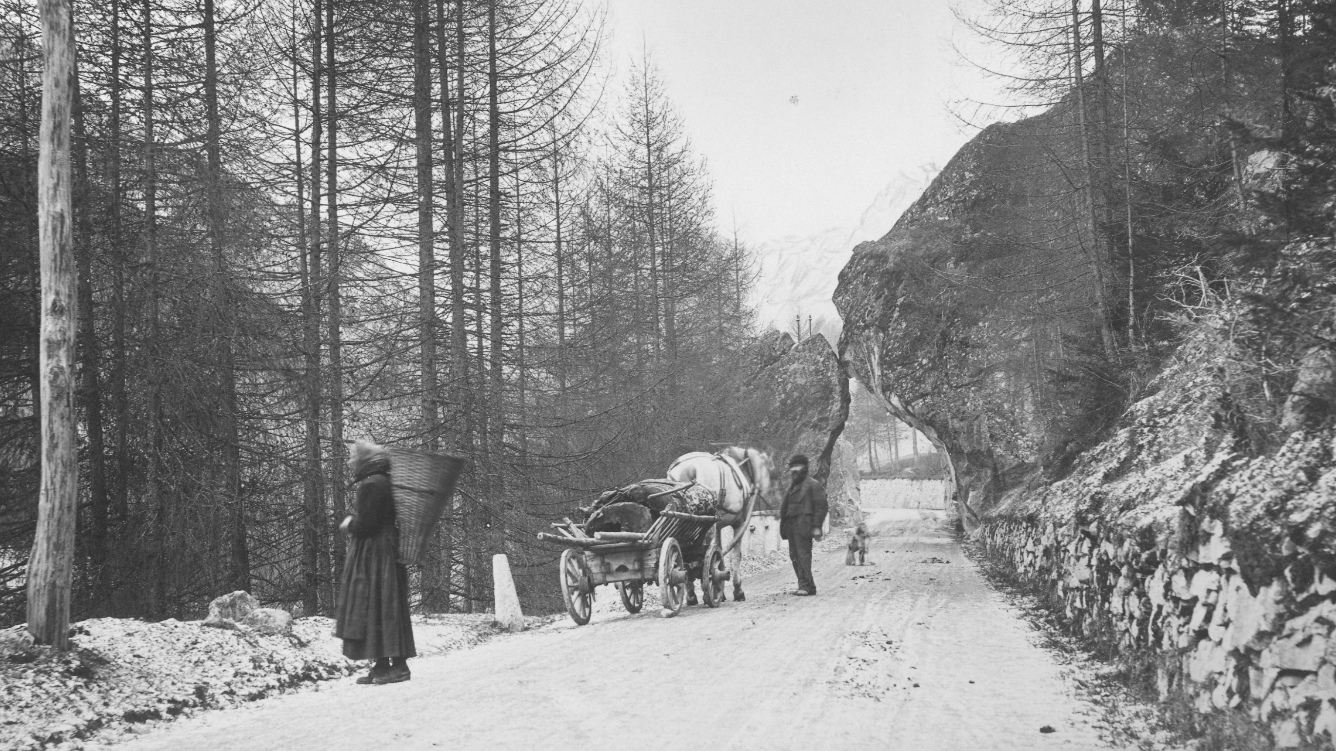 Società Storica Bregaglia