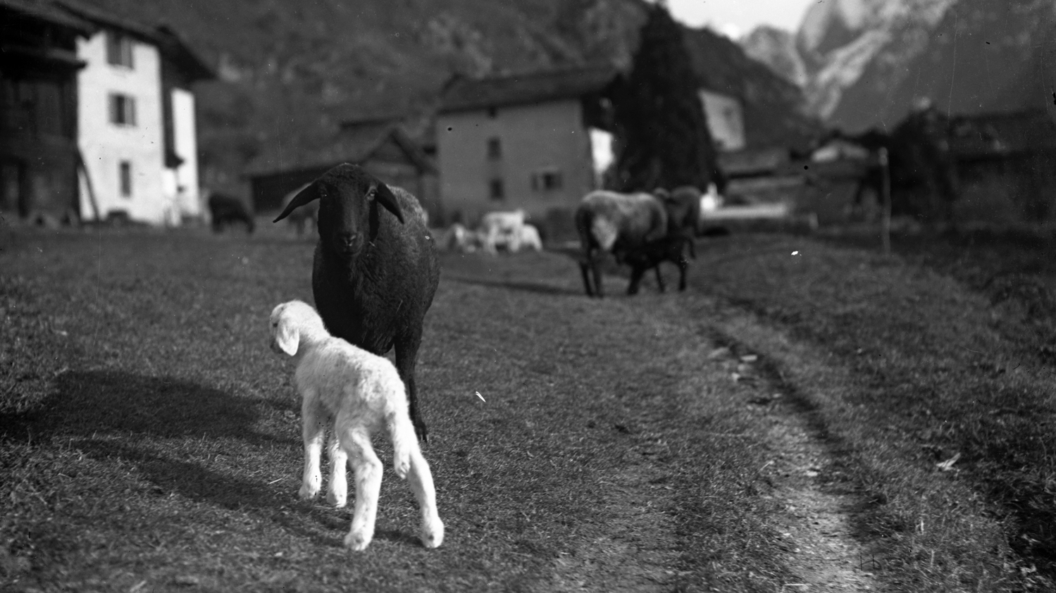 Società Storica Bregaglia